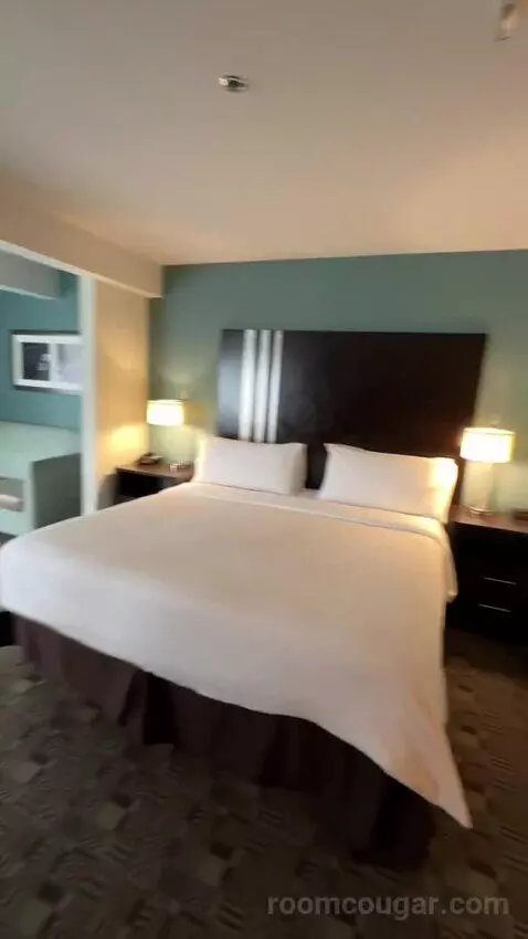 King Suite, Accessible with Roll In Shower (#150) bed picture #1