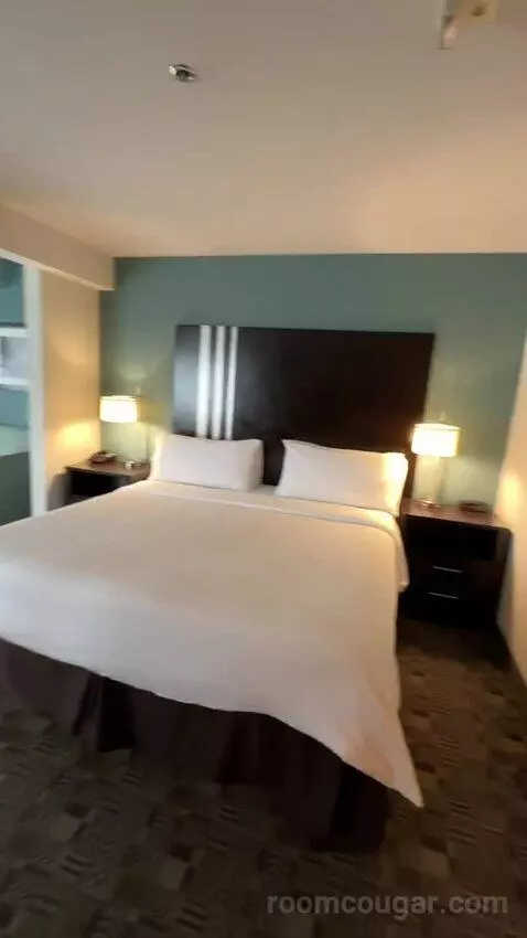 King Suite, Accessible with Roll In Shower (#150) bed picture #2