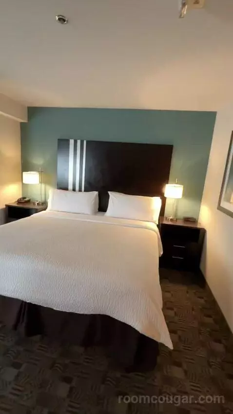 King Suite, Accessible with Roll In Shower (#150) bed picture #4