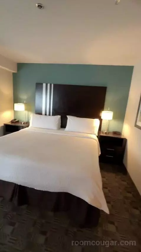 King Suite, Accessible with Roll In Shower (#150) bed picture #5
