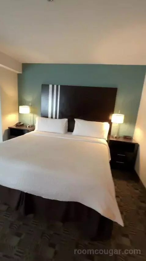 King Suite, Accessible with Roll In Shower (#150) bed picture #6