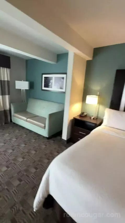 King Suite, Accessible with Roll In Shower (#150) bed picture #7