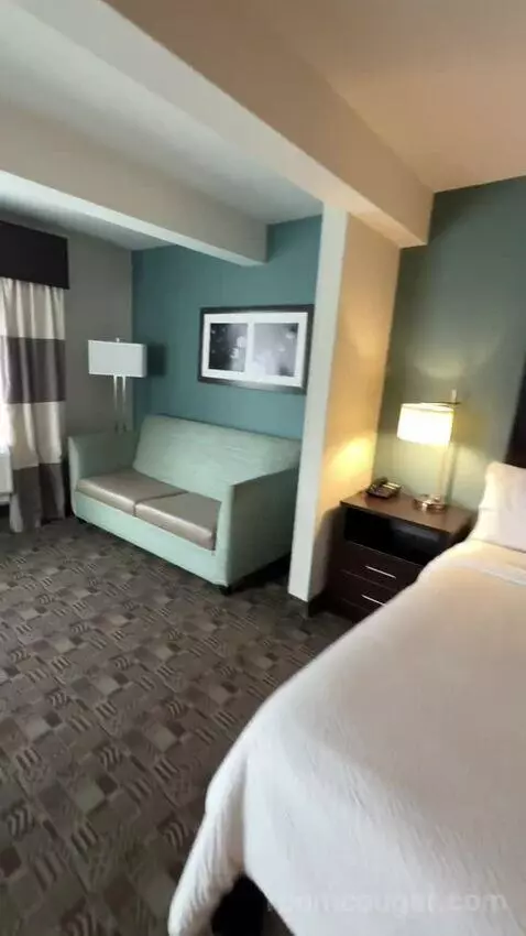 King Suite, Accessible with Roll In Shower (#150) bed picture #8