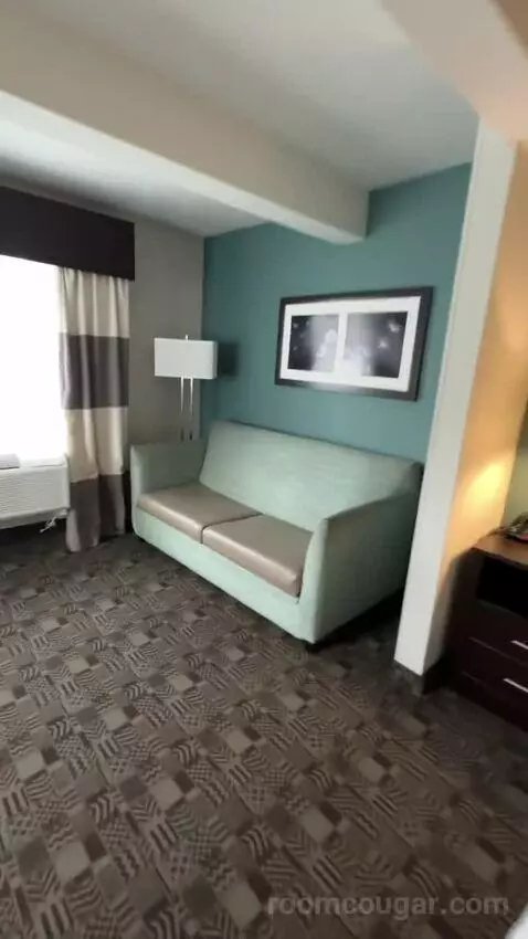 King Suite, Accessible with Roll In Shower (#150) bed picture #12