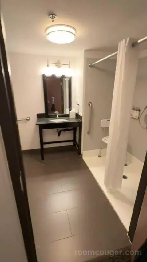 King Suite, Accessible with Roll In Shower (#150) bathroom picture #1