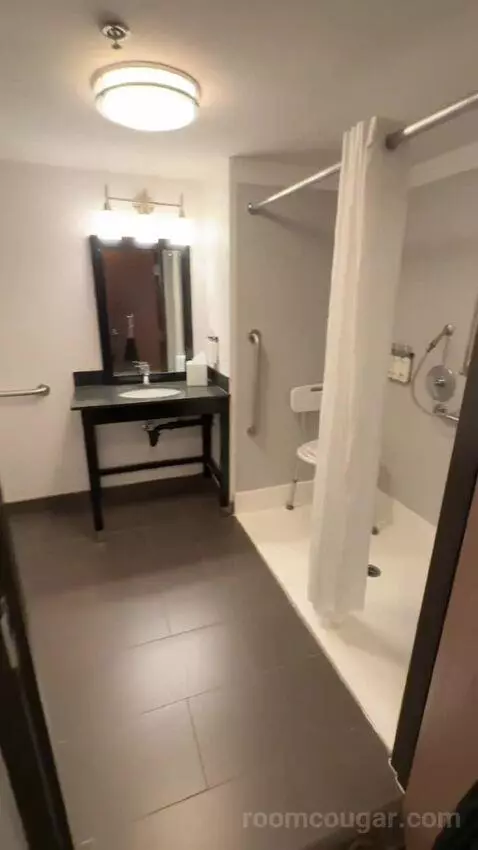 King Suite, Accessible with Roll In Shower (#150) bathroom picture #2