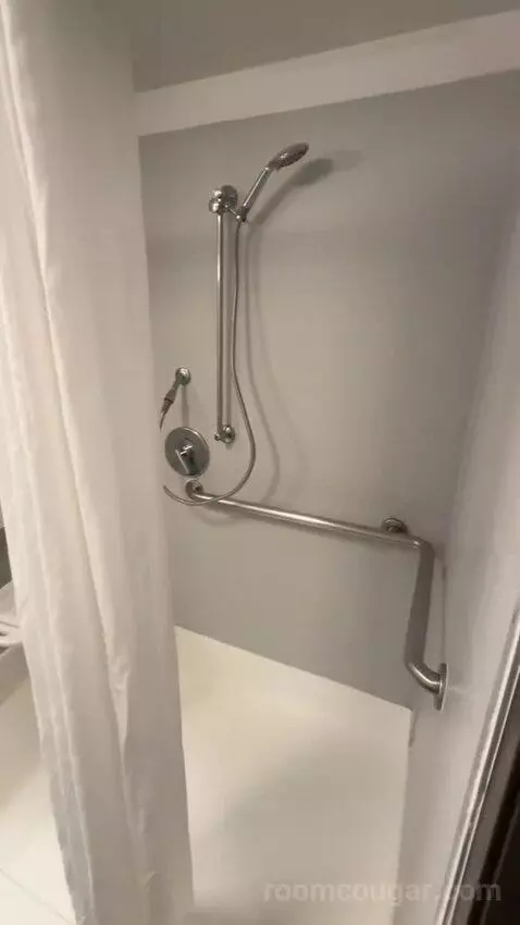 King Suite, Accessible with Roll In Shower (#150) bathroom picture #4