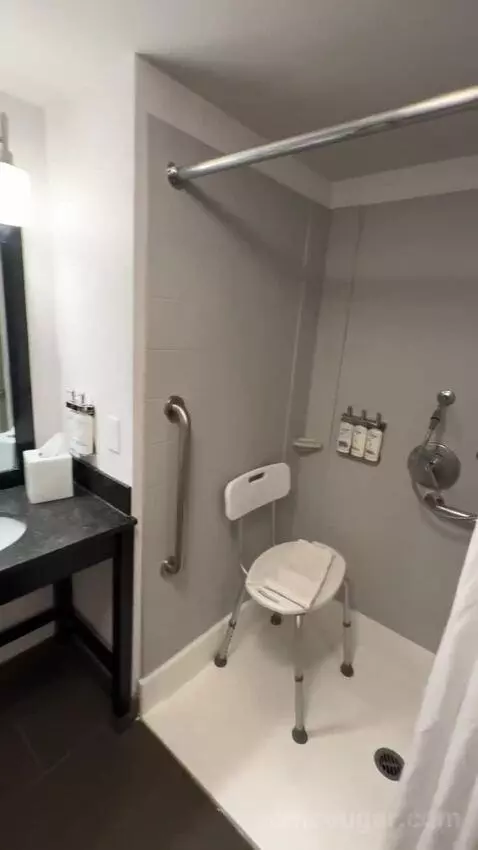 King Suite, Accessible with Roll In Shower (#150) bathroom picture #5