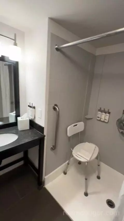 King Suite, Accessible with Roll In Shower (#150) bathroom picture #6