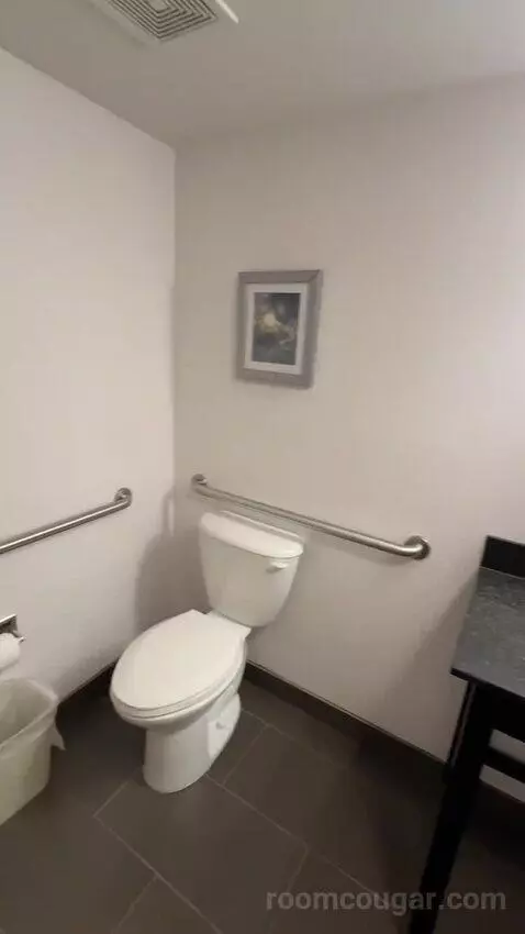 King Suite, Accessible with Roll In Shower (#150) bathroom picture #7