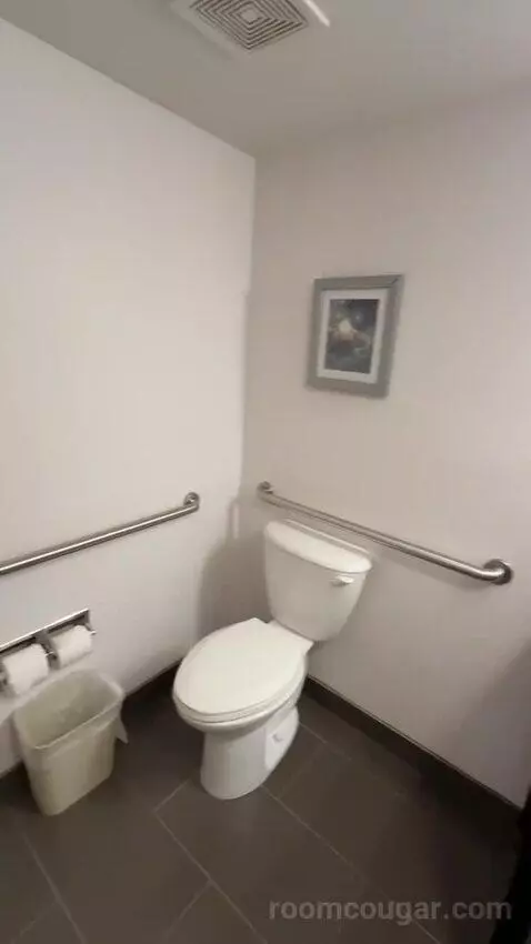 King Suite, Accessible with Roll In Shower (#150) bathroom picture #8