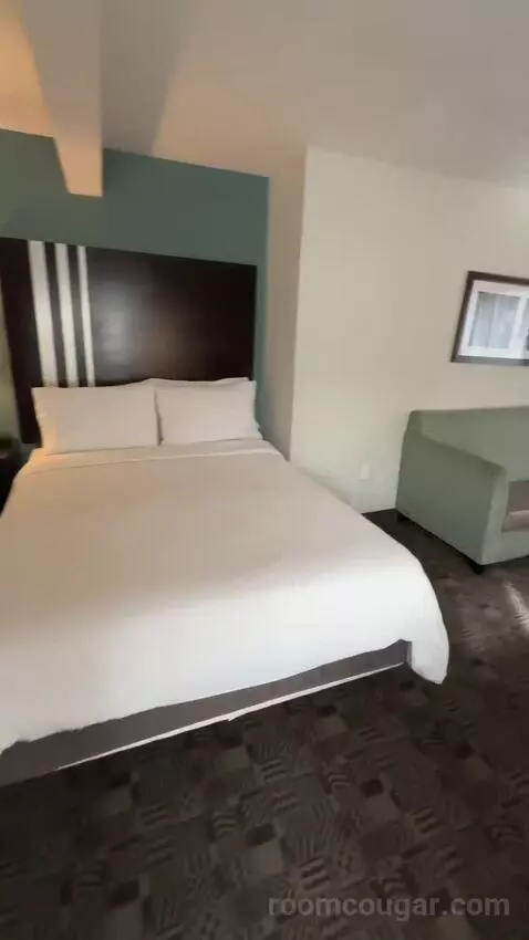 2 Queens Suite, Accessible with Roll In Shower (#151) bed picture #7