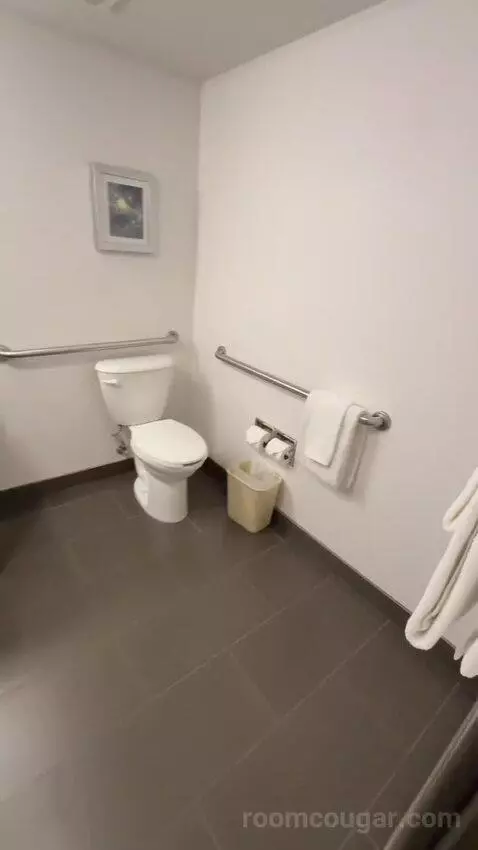 2 Queens Suite, Accessible with Roll In Shower (#151) bathroom picture #4