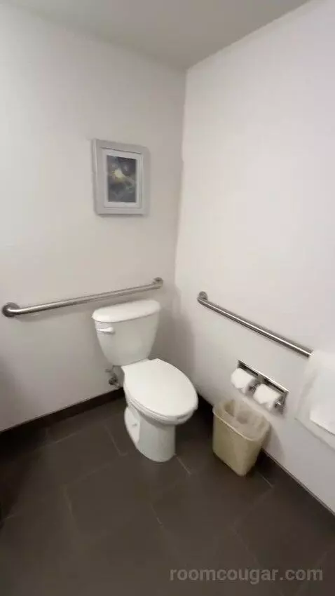 2 Queens Suite, Accessible with Roll In Shower (#151) bathroom picture #5
