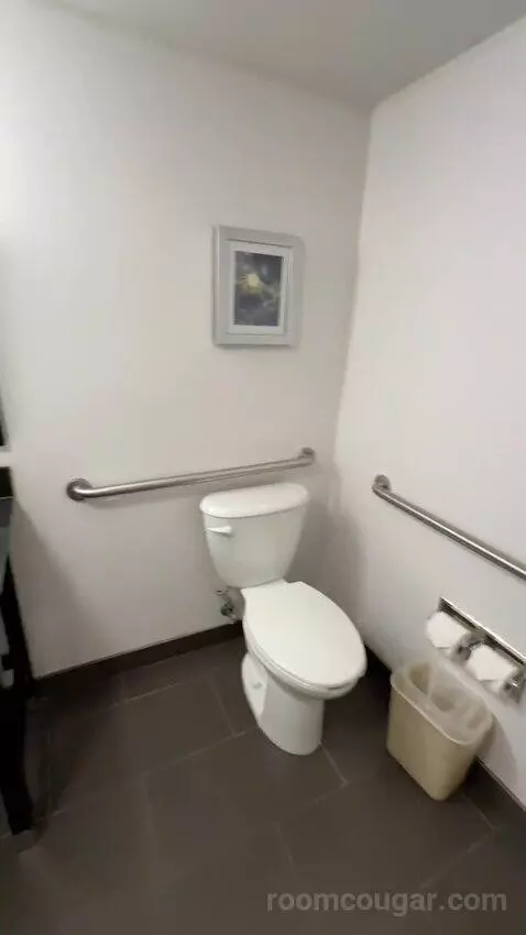 2 Queens Suite, Accessible with Roll In Shower (#151) bathroom picture #6