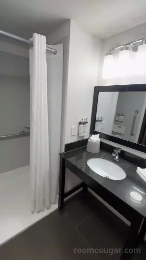 2 Queens Suite, Accessible with Roll In Shower (#151) bathroom picture #7