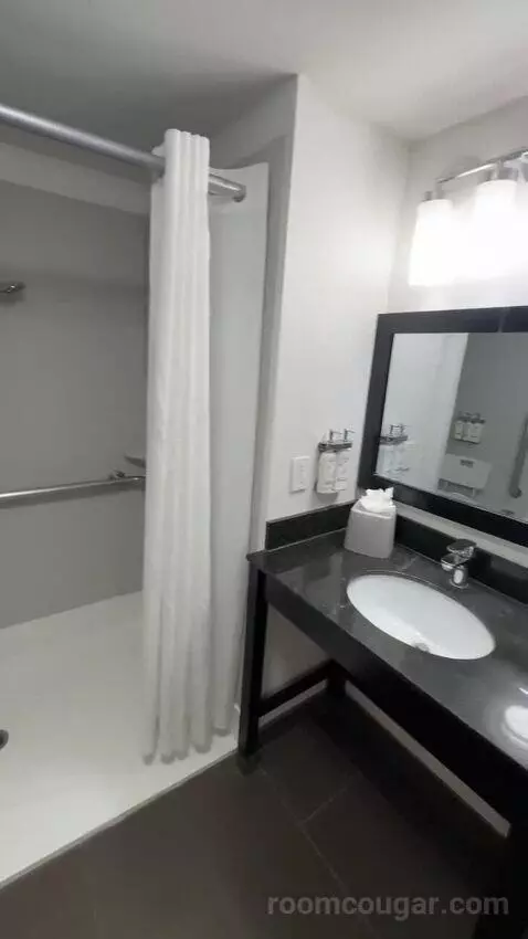 2 Queens Suite, Accessible with Roll In Shower (#151) bathroom picture #8