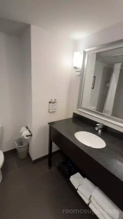 Queen Room with Two Queen Beds (#116) bathroom picture #6