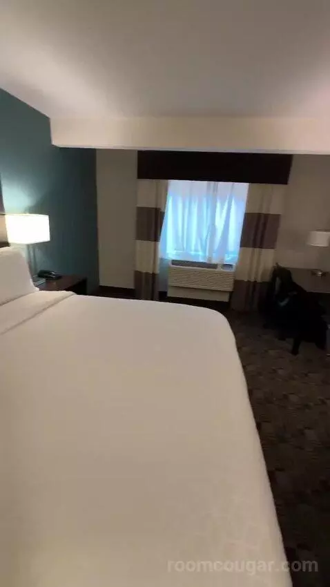 gogotravelwithjosh