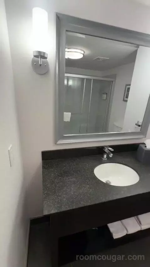 King Room (#118) bathroom picture #9