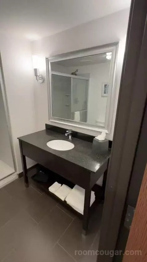 King Suite (#301) bathroom picture #1