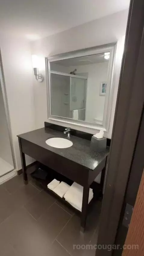 King Suite (#301) bathroom picture #2