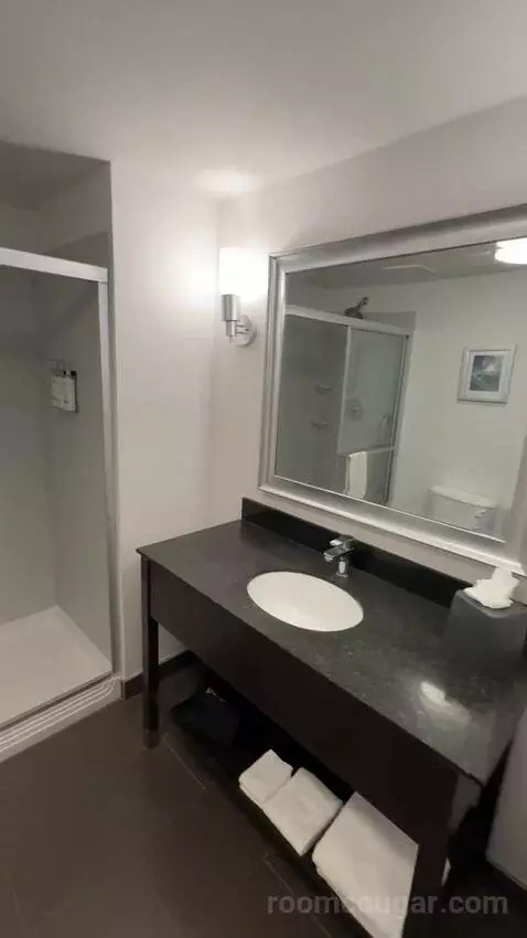 King Suite (#301) bathroom picture #3