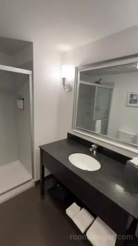 King Suite (#301) bathroom picture #4