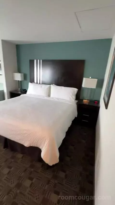 King Suite (#301) bed picture #1