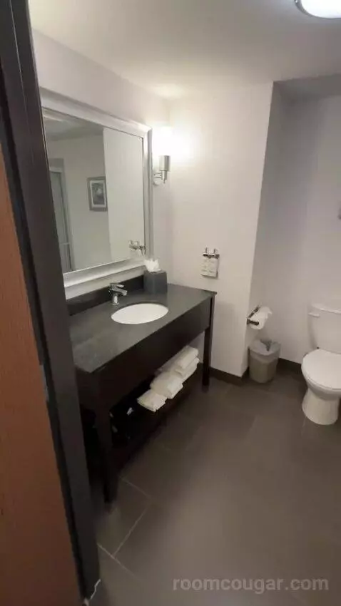 2 Queens Suite (#351) bathroom picture #10