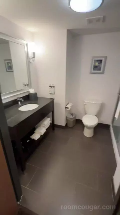 2 Queens Suite (#351) bathroom picture #12