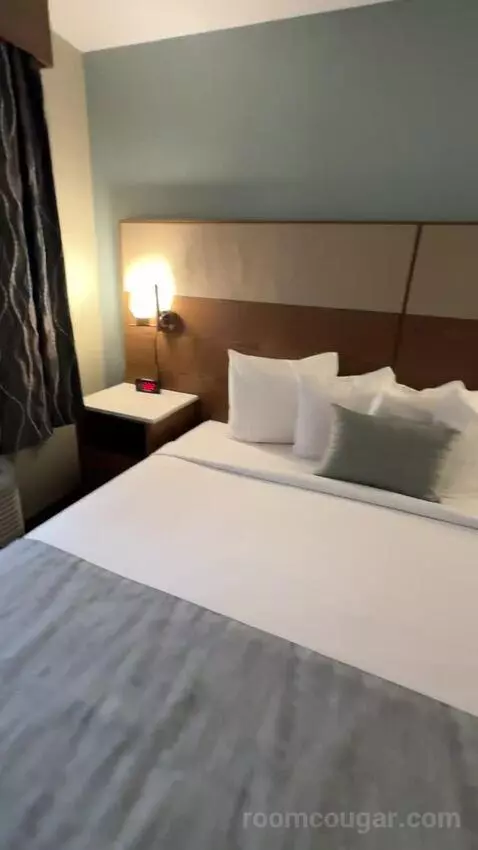 King Suite (#143) bed picture #5