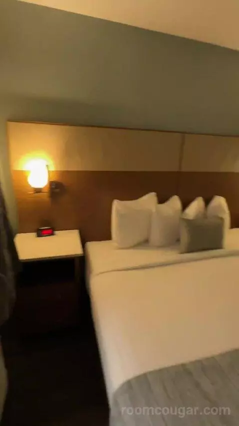 King Suite (#143) bed picture #7