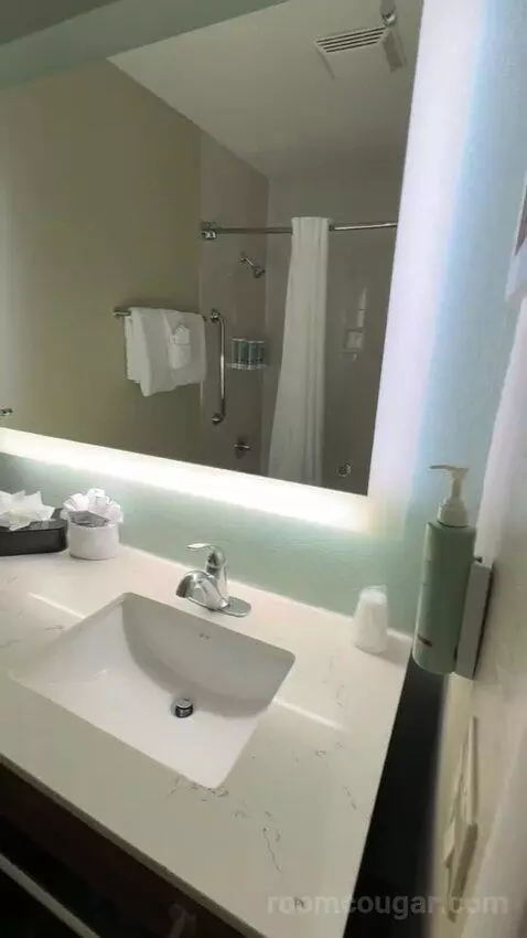 One-Bedroom Suite with Two Double Beds (#101) bathroom picture #10