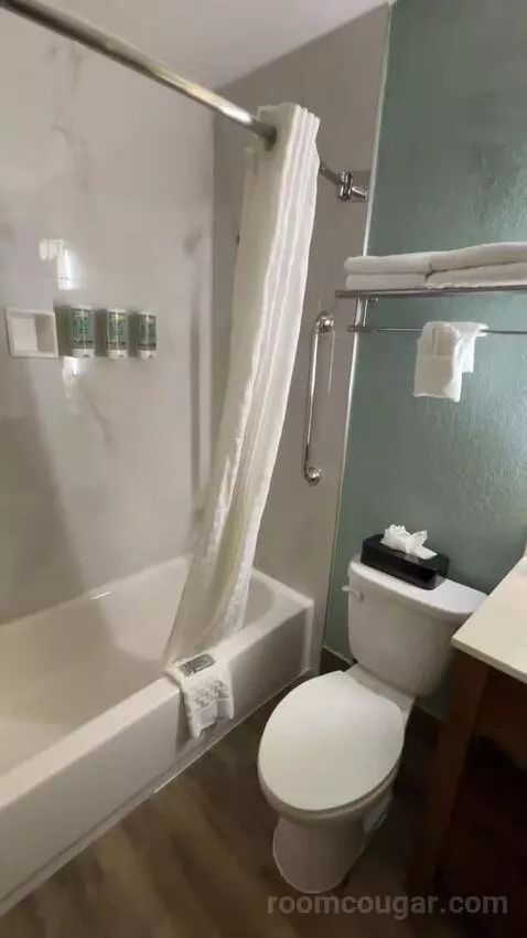 King Room bathroom picture #1