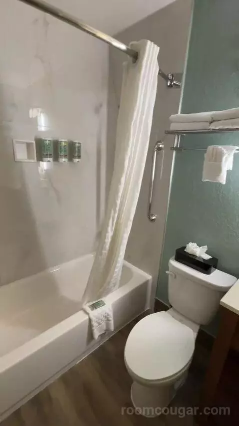 King Room bathroom picture #2
