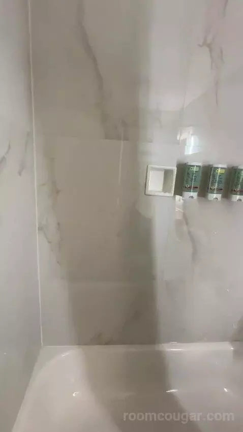 King Room bathroom picture #3