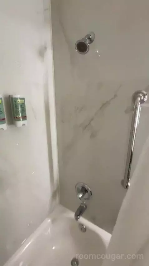 King Room bathroom picture #6