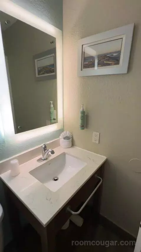 King Room bathroom picture #9