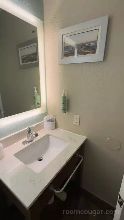 King Room bathroom picture #10