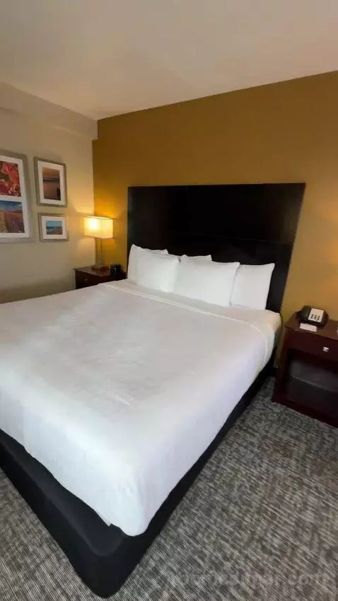 King Room (#351) bed picture #7