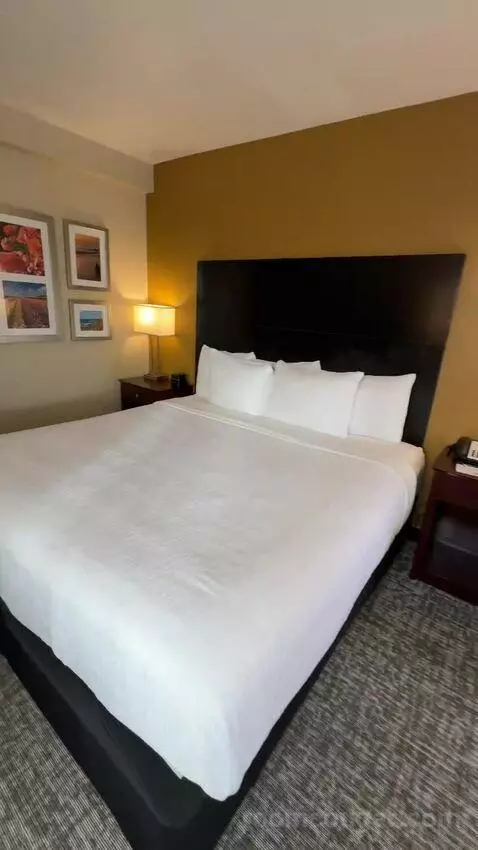 King Room (#351) bed picture #8