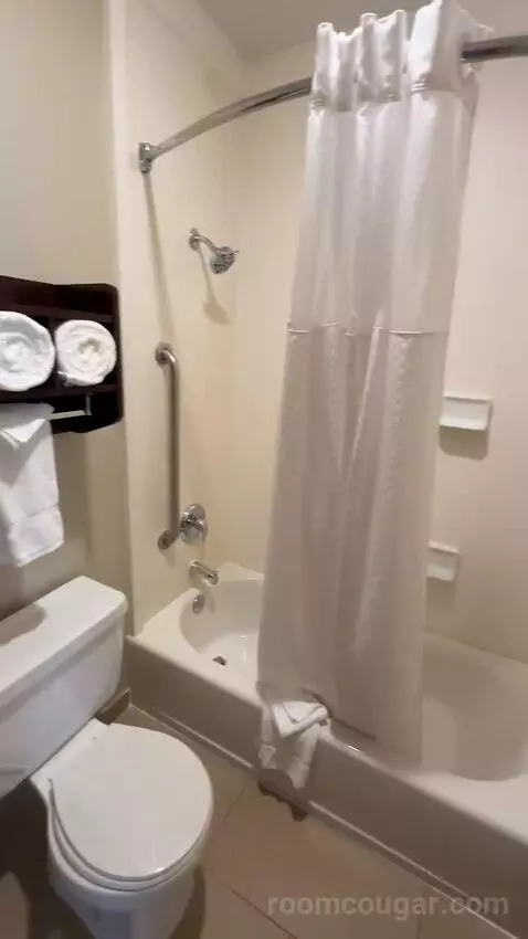 King Room (#351) bathroom picture #4