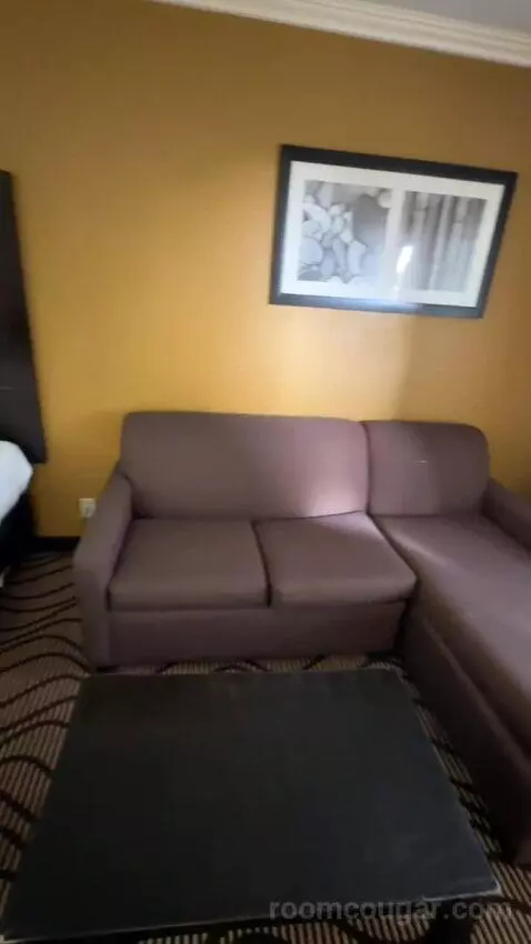 King Room with Sofa Bed (#252) bed picture #1