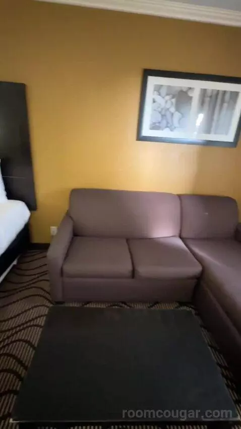 King Room with Sofa Bed (#252) bed picture #2