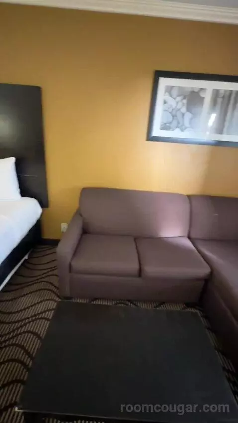 King Room with Sofa Bed (#252) bed picture #3