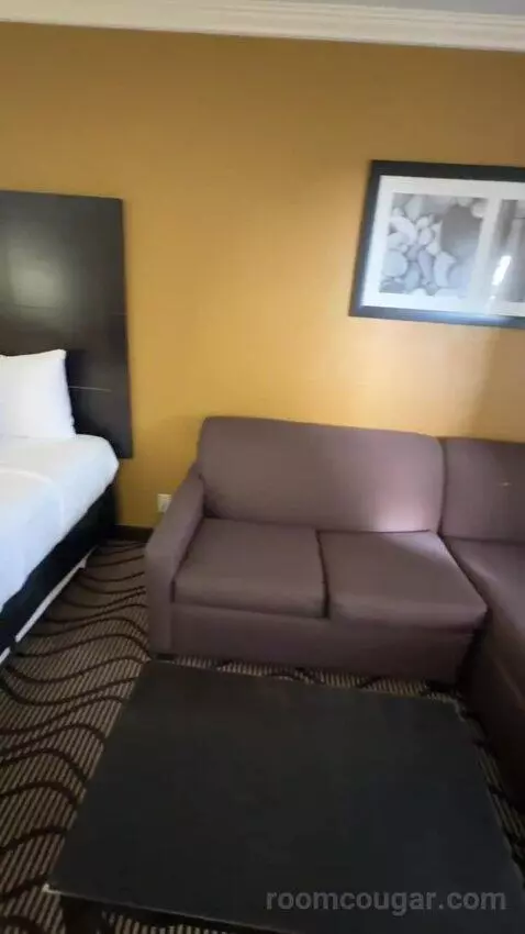 King Room with Sofa Bed (#252) bed picture #4