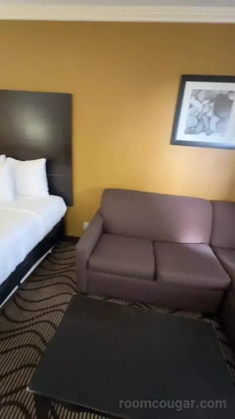 King Room with Sofa Bed (#252) bed picture #5
