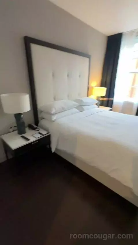 Deluxe King, Guest Room, 1 King bed picture #2