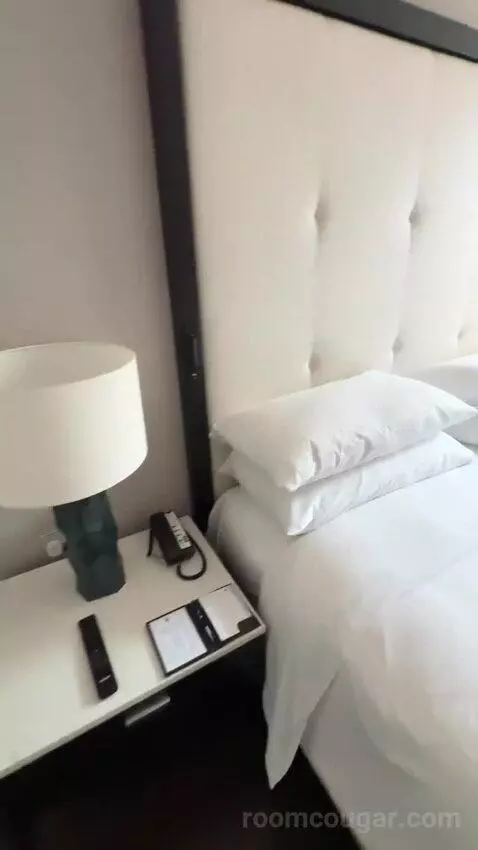 Deluxe King, Guest Room, 1 King bed picture #4